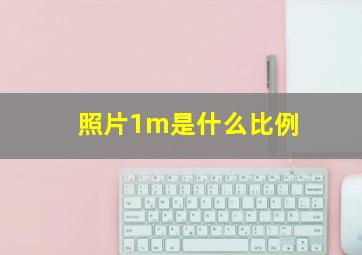 照片1m是什么比例