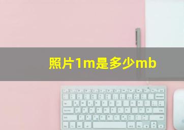 照片1m是多少mb