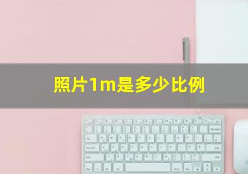 照片1m是多少比例