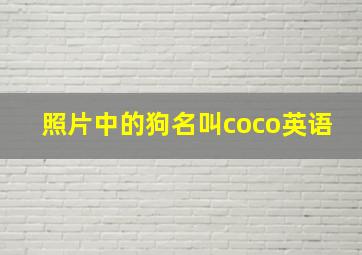 照片中的狗名叫coco英语