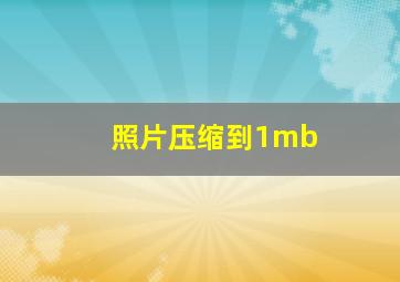 照片压缩到1mb