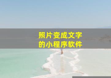 照片变成文字的小程序软件