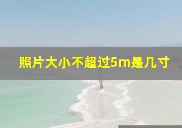 照片大小不超过5m是几寸