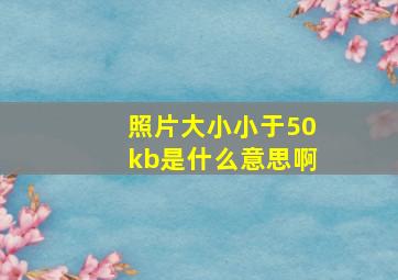 照片大小小于50kb是什么意思啊