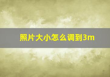 照片大小怎么调到3m