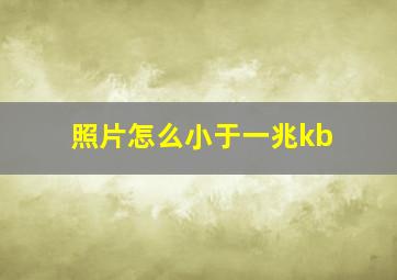 照片怎么小于一兆kb