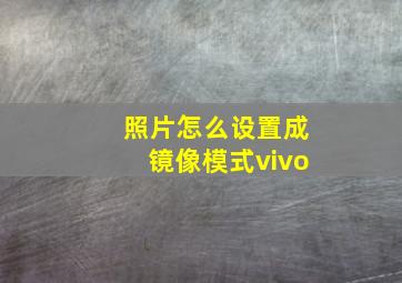 照片怎么设置成镜像模式vivo