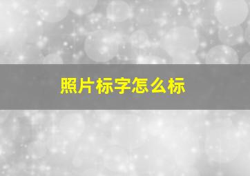 照片标字怎么标