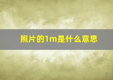 照片的1m是什么意思