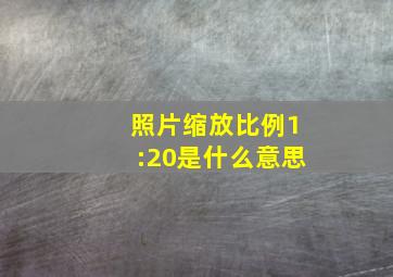 照片缩放比例1:20是什么意思