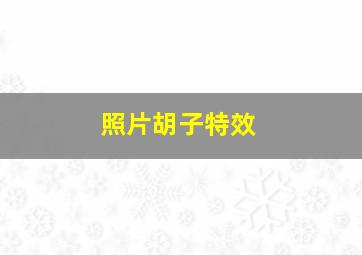 照片胡子特效