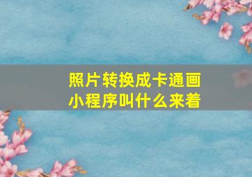 照片转换成卡通画小程序叫什么来着