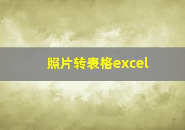 照片转表格excel