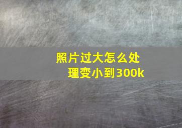 照片过大怎么处理变小到300k