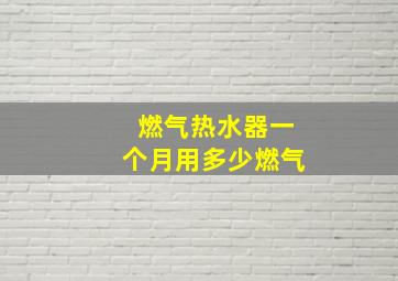 燃气热水器一个月用多少燃气