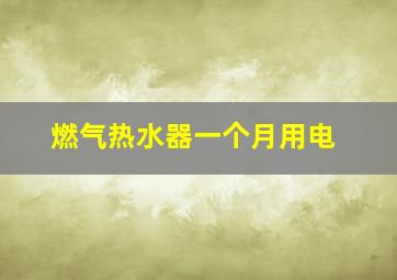 燃气热水器一个月用电