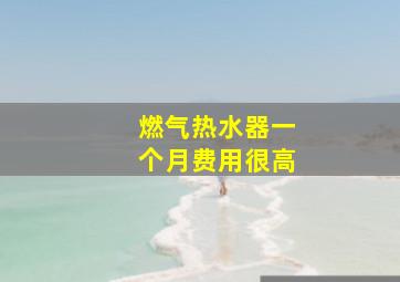 燃气热水器一个月费用很高