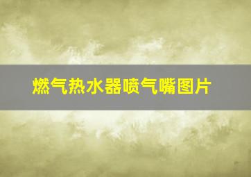 燃气热水器喷气嘴图片