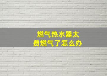 燃气热水器太费燃气了怎么办