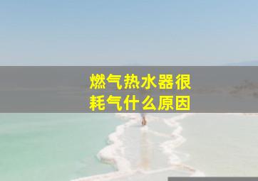 燃气热水器很耗气什么原因