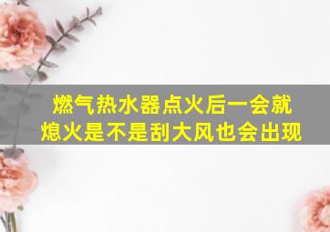 燃气热水器点火后一会就熄火是不是刮大风也会出现