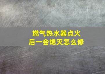 燃气热水器点火后一会熄灭怎么修