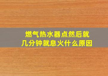 燃气热水器点然后就几分钟就息火什么原因