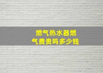 燃气热水器燃气费贵吗多少钱