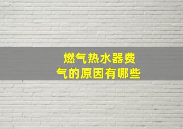 燃气热水器费气的原因有哪些