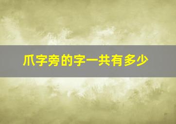 爪字旁的字一共有多少