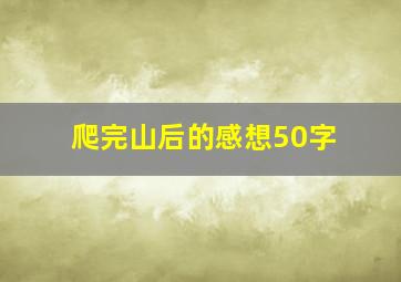 爬完山后的感想50字