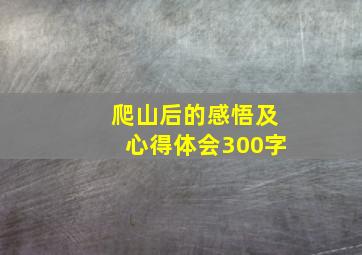 爬山后的感悟及心得体会300字