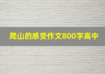 爬山的感受作文800字高中