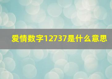 爱情数字12737是什么意思