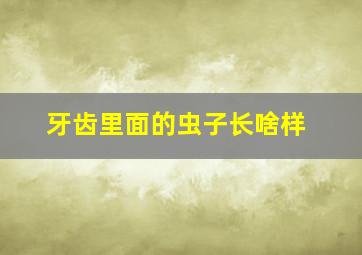 牙齿里面的虫子长啥样