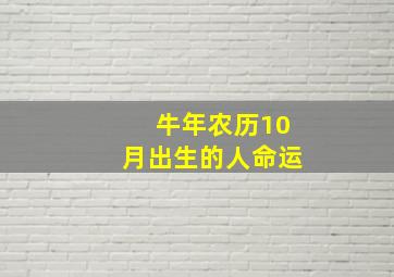 牛年农历10月出生的人命运