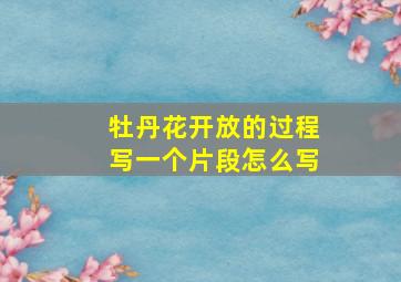 牡丹花开放的过程写一个片段怎么写