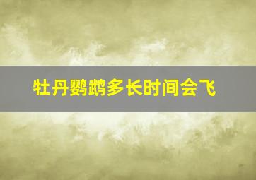 牡丹鹦鹉多长时间会飞