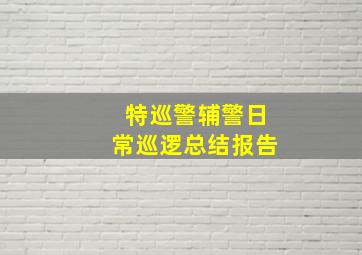 特巡警辅警日常巡逻总结报告