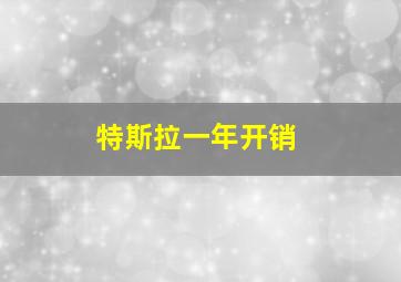 特斯拉一年开销