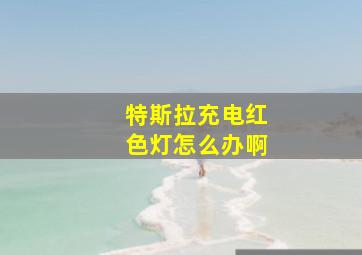 特斯拉充电红色灯怎么办啊