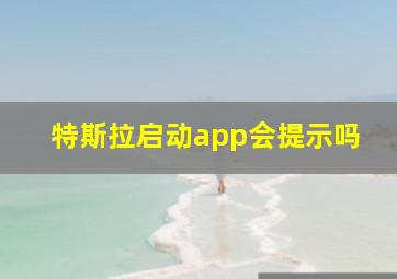 特斯拉启动app会提示吗