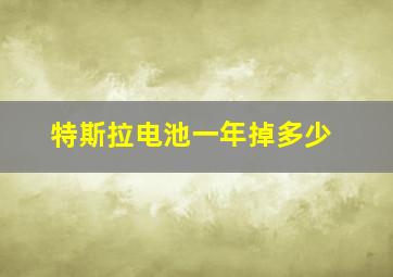 特斯拉电池一年掉多少