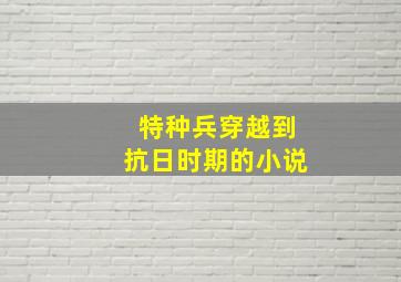 特种兵穿越到抗日时期的小说