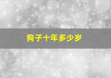 狗子十年多少岁