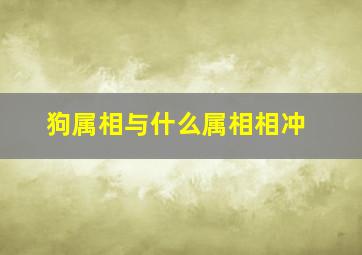 狗属相与什么属相相冲