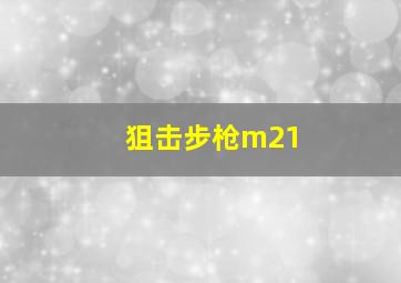 狙击步枪m21