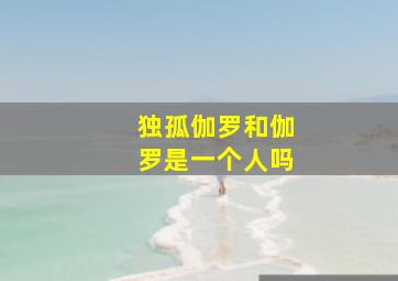 独孤伽罗和伽罗是一个人吗