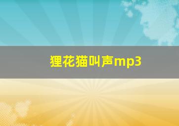 狸花猫叫声mp3