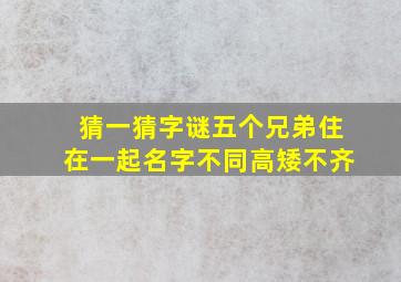 猜一猜字谜五个兄弟住在一起名字不同高矮不齐